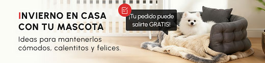 INVIERNO EN CASA CON TU MASCOTA